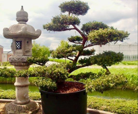 Gantry 5 Won "Best Framework System" at J and Beyond 2016 