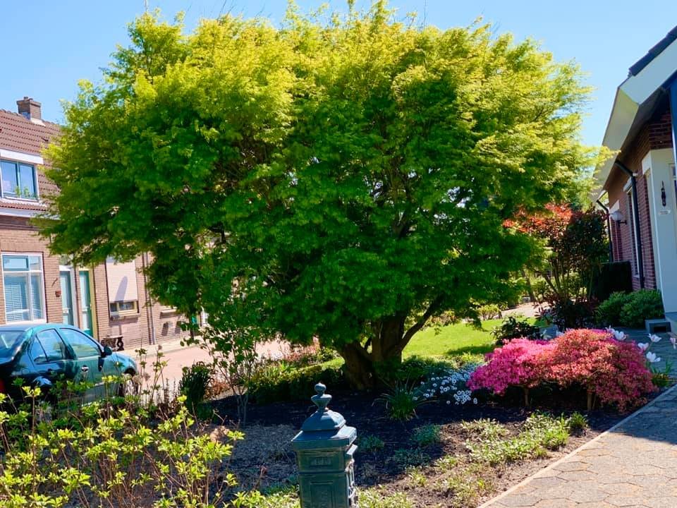 Gantry 5 Has Been Downloaded Over Half a Million Times